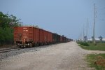 RVSC Rock train